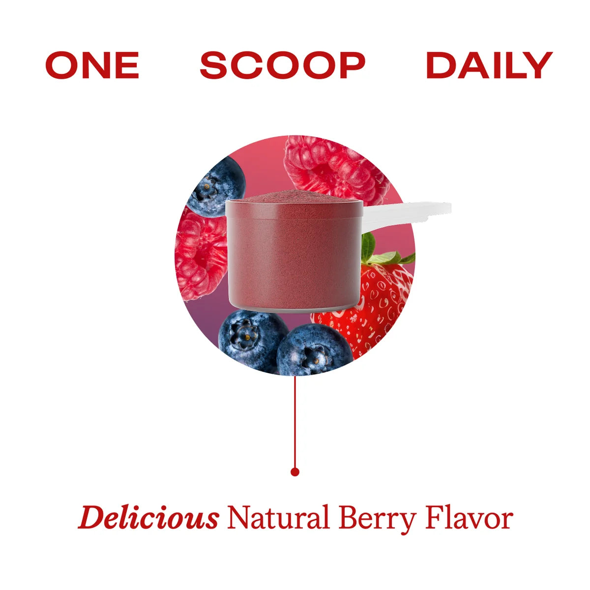 Beet Root Energy Powder